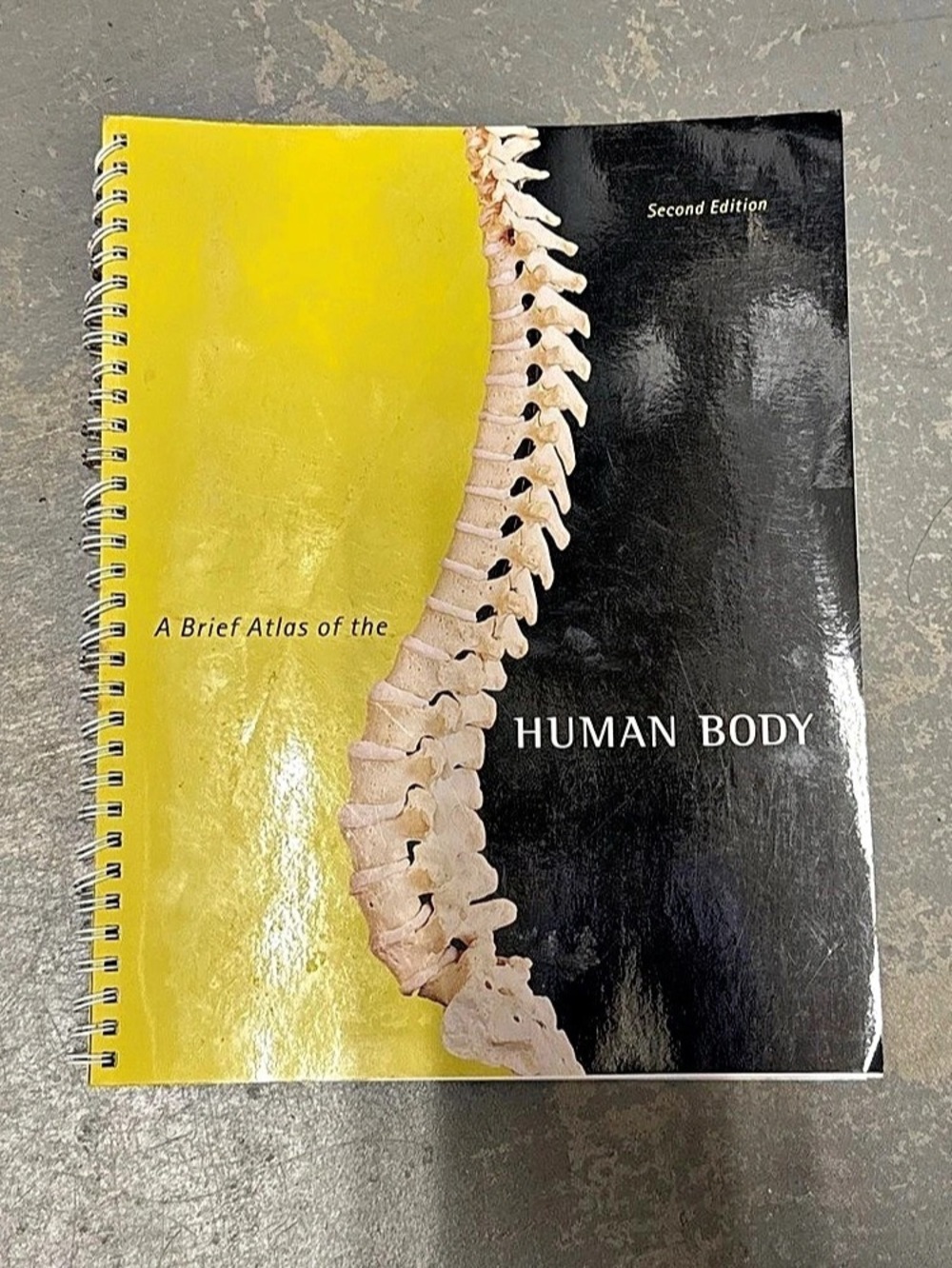 Pearson A Brief Atlas of the Human Body, Second Edition Atlas Book
